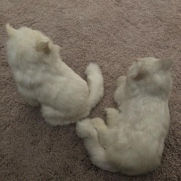 Faux Fur Kittens - Picture 4 of 5